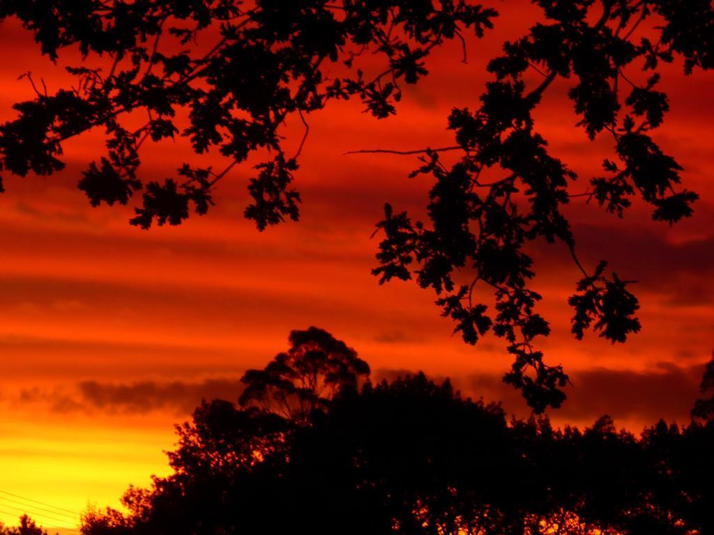 Jacaranda Lodge Coromandel Exteriör bild