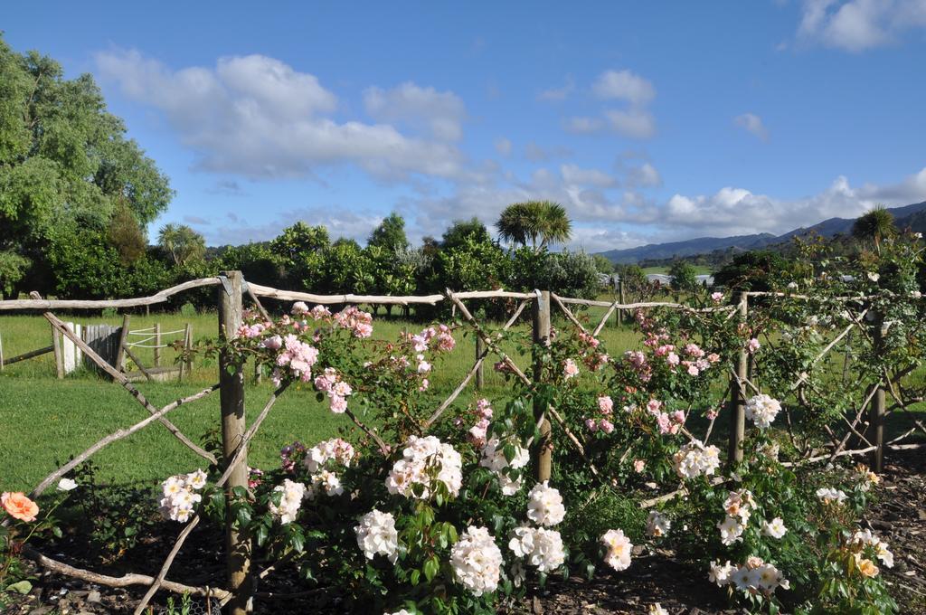 Jacaranda Lodge Coromandel Exteriör bild