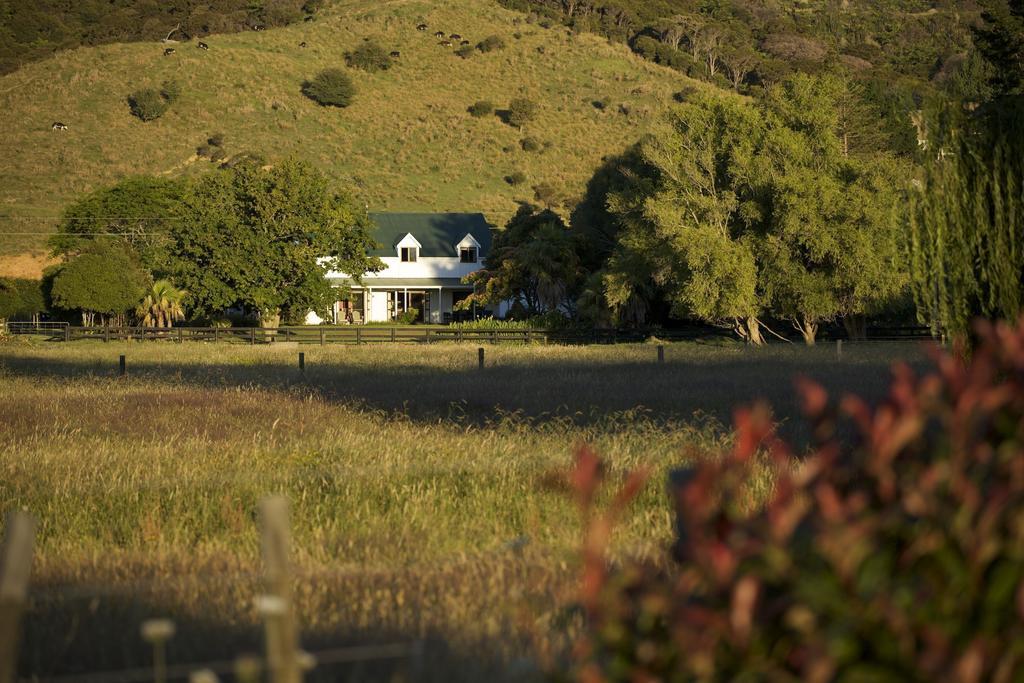 Jacaranda Lodge Coromandel Exteriör bild