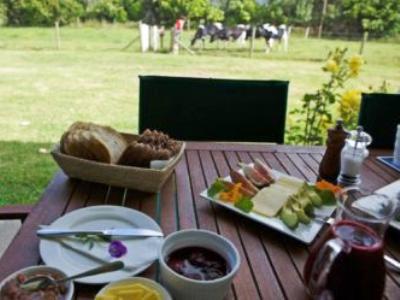 Jacaranda Lodge Coromandel Exteriör bild